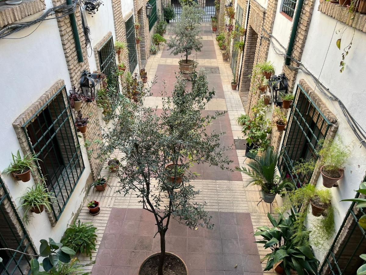 Precioso Loft Con Excelente Ubicacion Apartment Cordoba Exterior photo